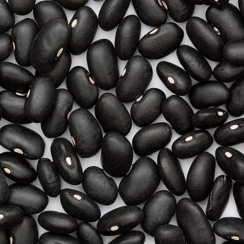Black Beans Poroto Negro Pulses Legumbres Allfoodsas